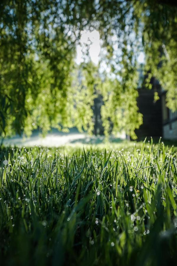 L'Herbe Haute Honfleur Eksteriør billede